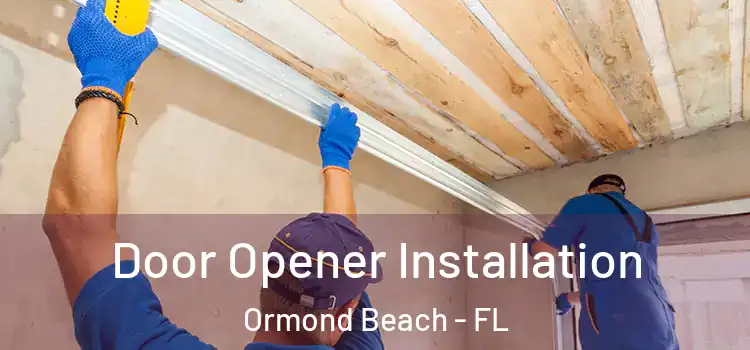 Door Opener Installation Ormond Beach - FL
