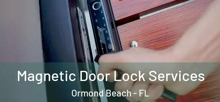 Magnetic Door Lock Services Ormond Beach - FL