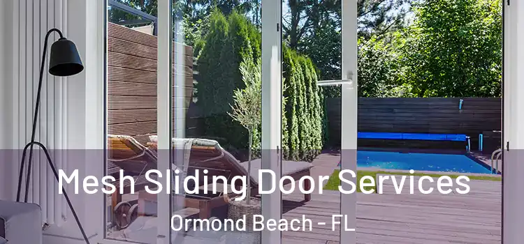 Mesh Sliding Door Services Ormond Beach - FL