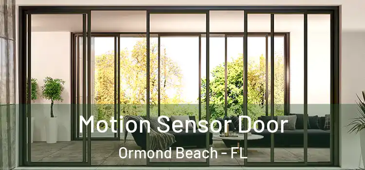 Motion Sensor Door Ormond Beach - FL